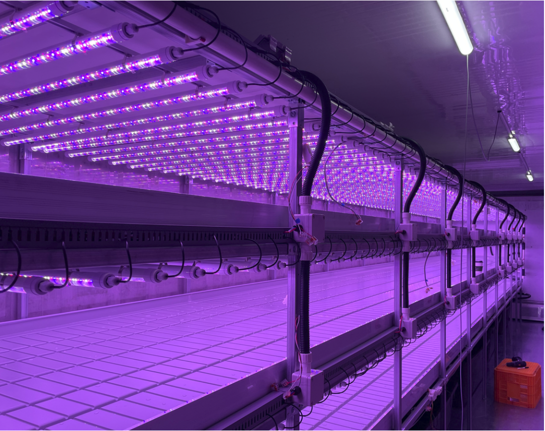 LED T8 हाऊसिंगबद्दल आमच्या कोरियन ग्राहकांकडून सकारात्मक टिप्पण्या